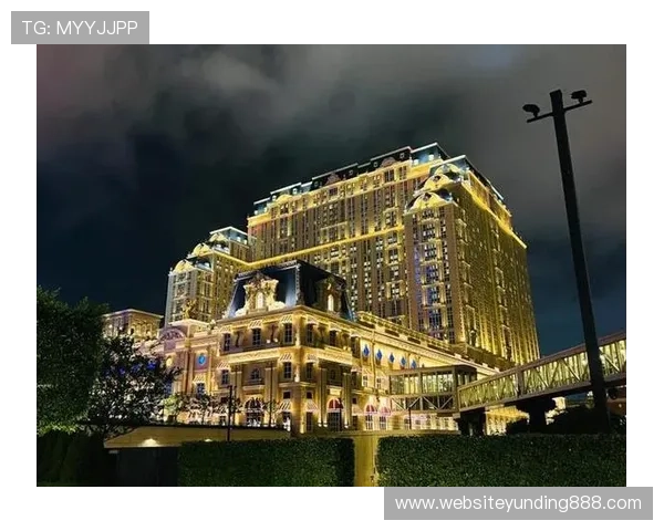 新云顶国际集团(澳门)有限公司：引领澳门博彩业创新发展的领军企业