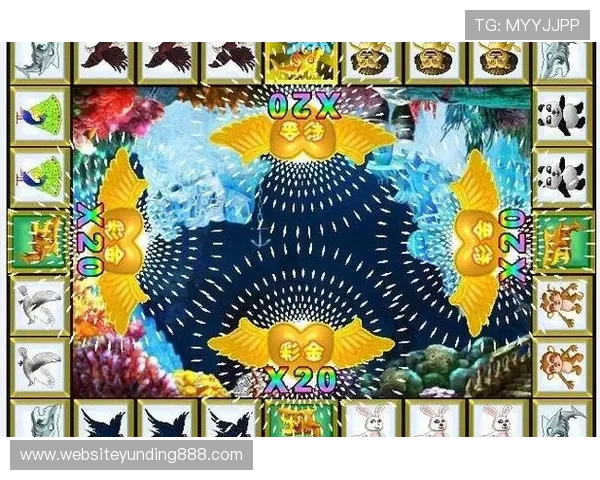 金鲨银鲨游戏线上线下对比分析选择最适合你的游戏方式实现收益最大化